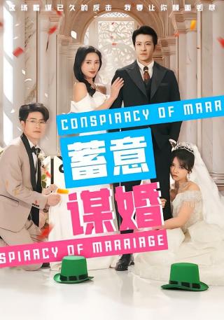 短剧蓄意谋婚海报