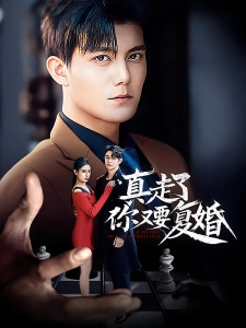 短剧真走了你又要复婚海报