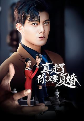 短剧真走了你又要复婚海报