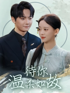 短剧待你温柔如故海报