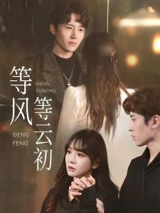 短剧等风等云初海报