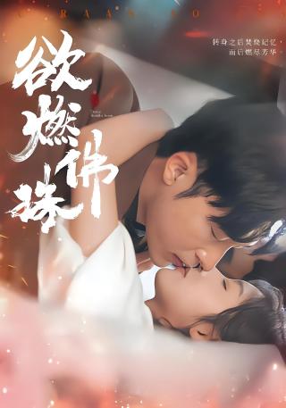 短剧欲燃佛珠海报