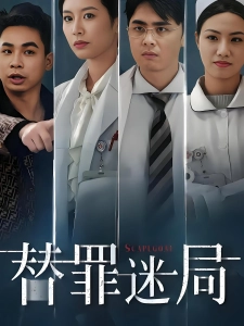 短剧替罪迷局海报