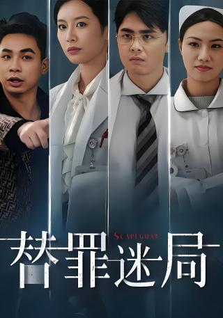 短剧替罪迷局海报