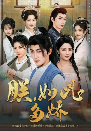 短剧朕，如此多娇海报