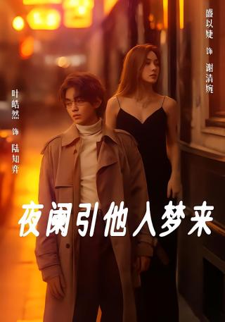 短剧夜阑引他入梦来海报