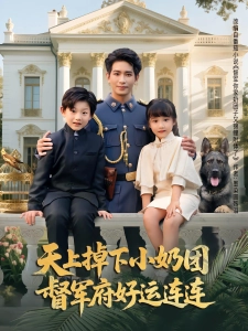 短剧天上掉下小奶团督军府好运连连海报