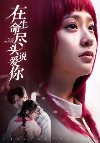 短剧在生命尽头说爱你海报