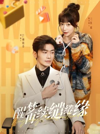 短剧醒梦再续缱绻缘海报