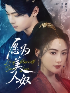 短剧愿为美人奴海报