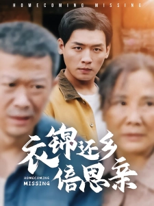 短剧衣锦还乡倍思亲海报