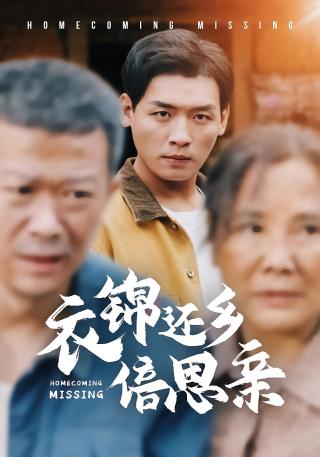 短剧衣锦还乡倍思亲海报