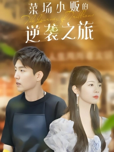 短剧菜场小贩的逆袭之旅海报