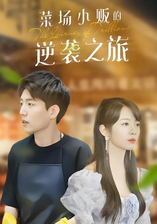 短剧菜场小贩的逆袭之旅海报