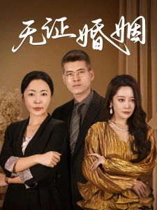 短剧无证婚姻海报