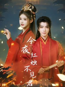 短剧今夜红烛不见君海报