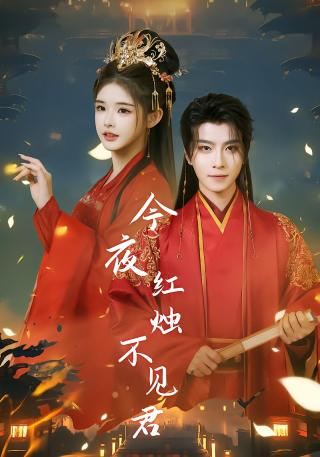 短剧今夜红烛不见君海报