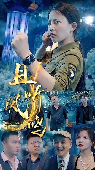 短剧且听凤鸣海报