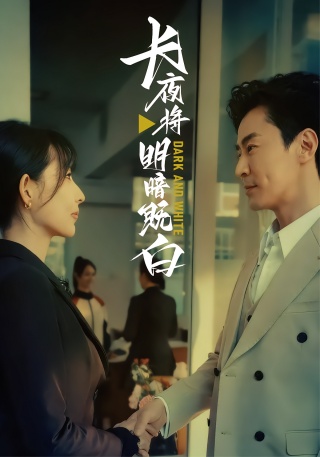 短剧长夜将明暗既白海报