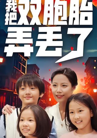 短剧我把双胞胎弄丢了海报