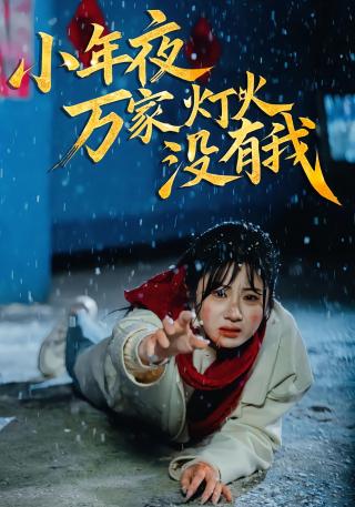 短剧小年夜万家灯火没有我海报