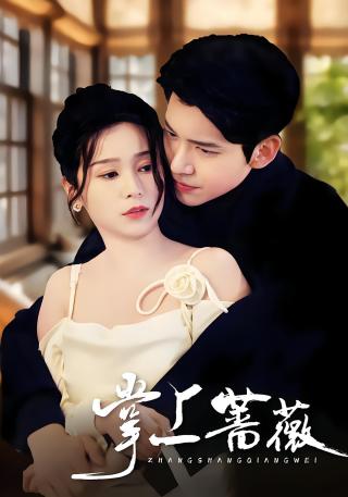 短剧掌上蔷薇海报