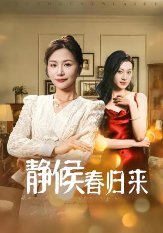 短剧静候春归来海报