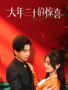 短剧大年三十的惊喜海报