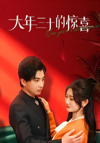 短剧大年三十的惊喜海报