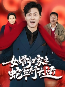短剧女婿归家之蛇年行大运海报