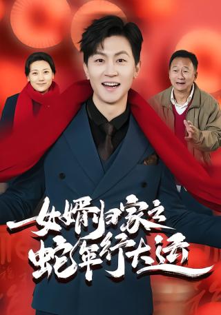 短剧女婿归家之蛇年行大运海报