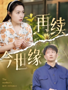 短剧再续今世缘海报