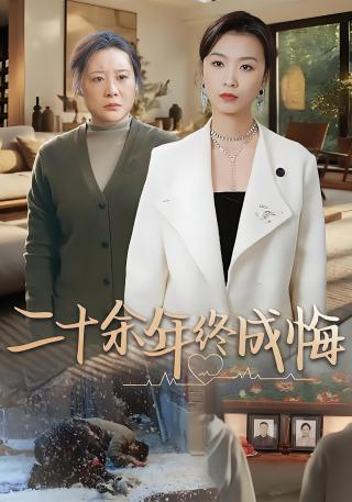 短剧二十余年终成悔海报