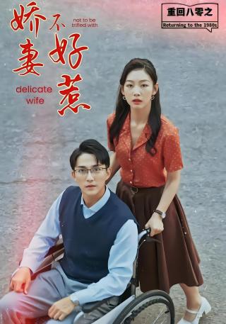 短剧重回八零之娇妻不好惹海报
