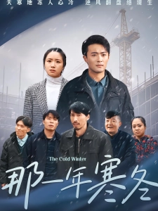 短剧那一年寒冬海报