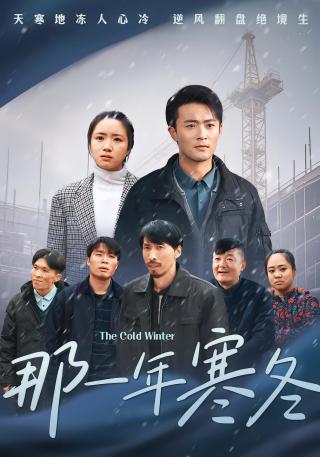 短剧那一年寒冬海报