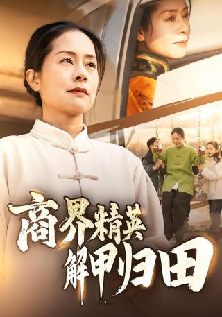 短剧商界精英解甲归田海报