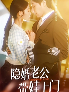 短剧隐婚老公带娃上门海报