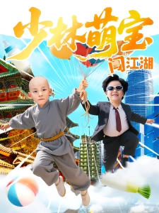 短剧少林萌宝闯江湖海报