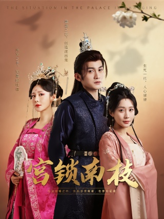 短剧宫锁南枝海报