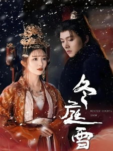 短剧冬庭雪海报