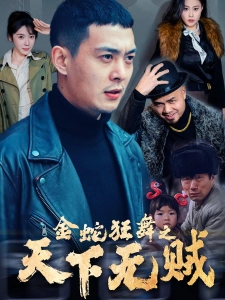 短剧金蛇狂舞之天下无贼海报