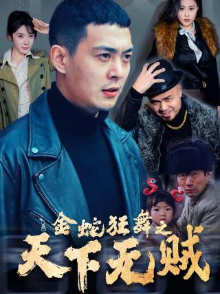 短剧金蛇狂舞之天下无贼海报