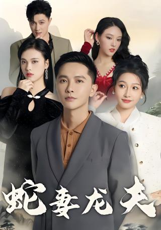 短剧蛇妻龙夫海报