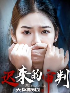 短剧天网恢恢之迟来的审判海报