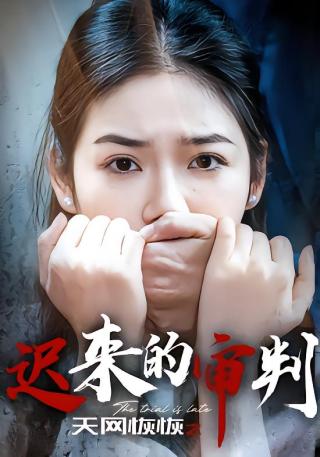 短剧天网恢恢之迟来的审判海报