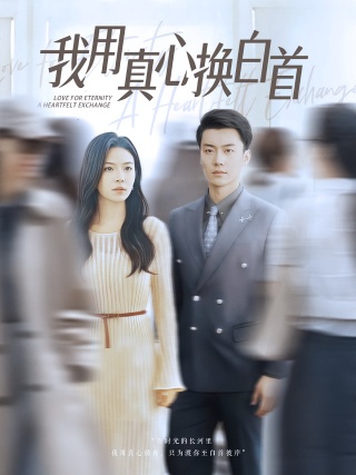 短剧我用真心换白首海报