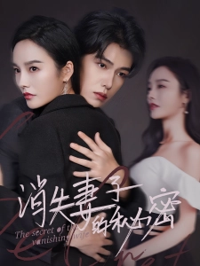短剧消失妻子的秘密海报