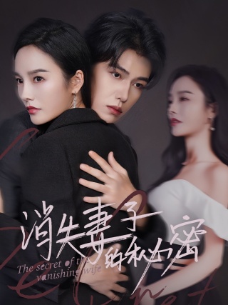 短剧消失妻子的秘密海报