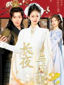 短剧长夜与风说海报